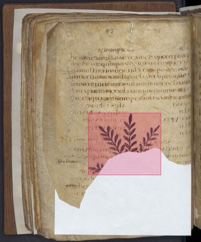 Annotation limited to the visible part of the element