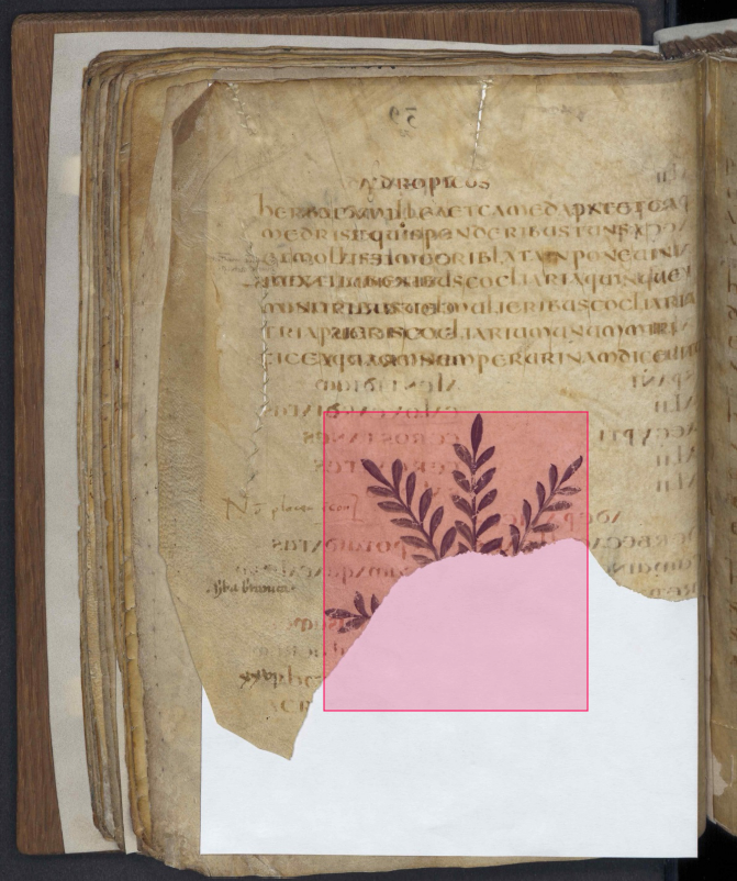 Annotation extended over a missing part of the element
